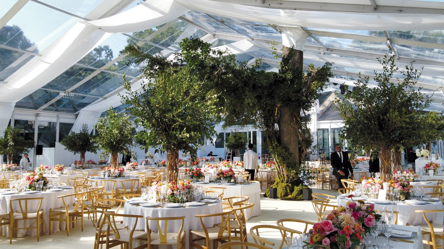 Project showcase: Stamford Tent & Event – InTents
